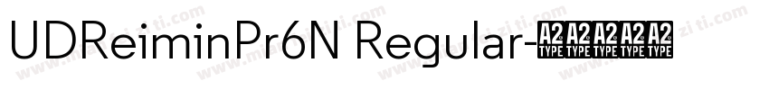 UDReiminPr6N Regular字体转换